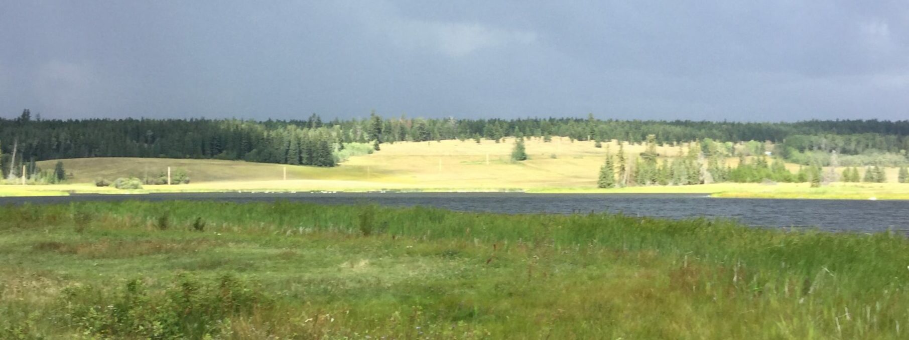 View from Creek of IR #4